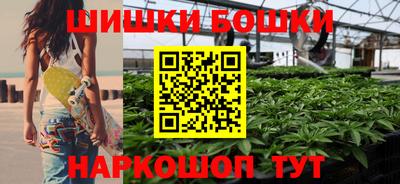 крисы Пенза
