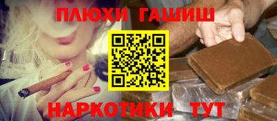 крисы Пенза