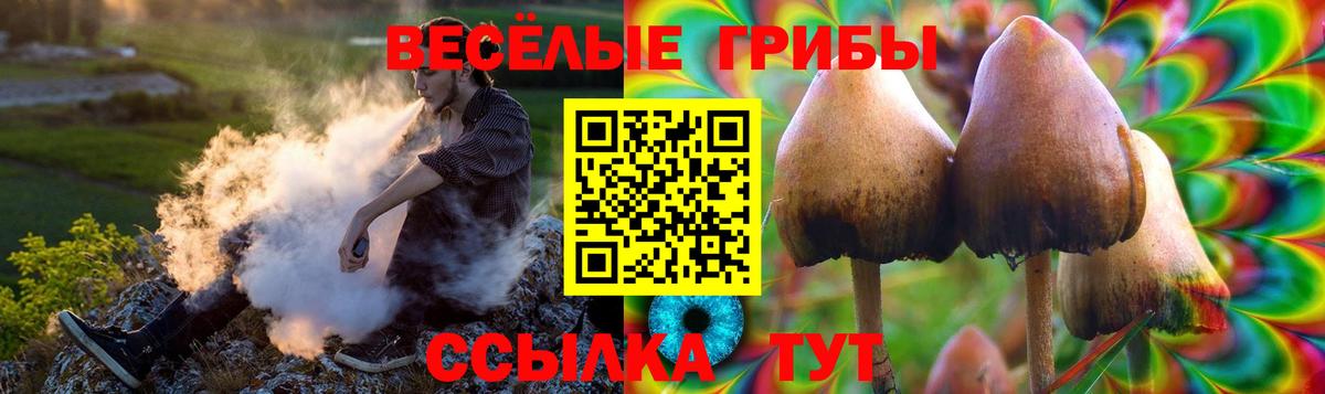Галлюциногенные грибы ЛСД  Галлюциногенные грибы MAGIC MUSHROOMS  Саров  Вход с VPN 